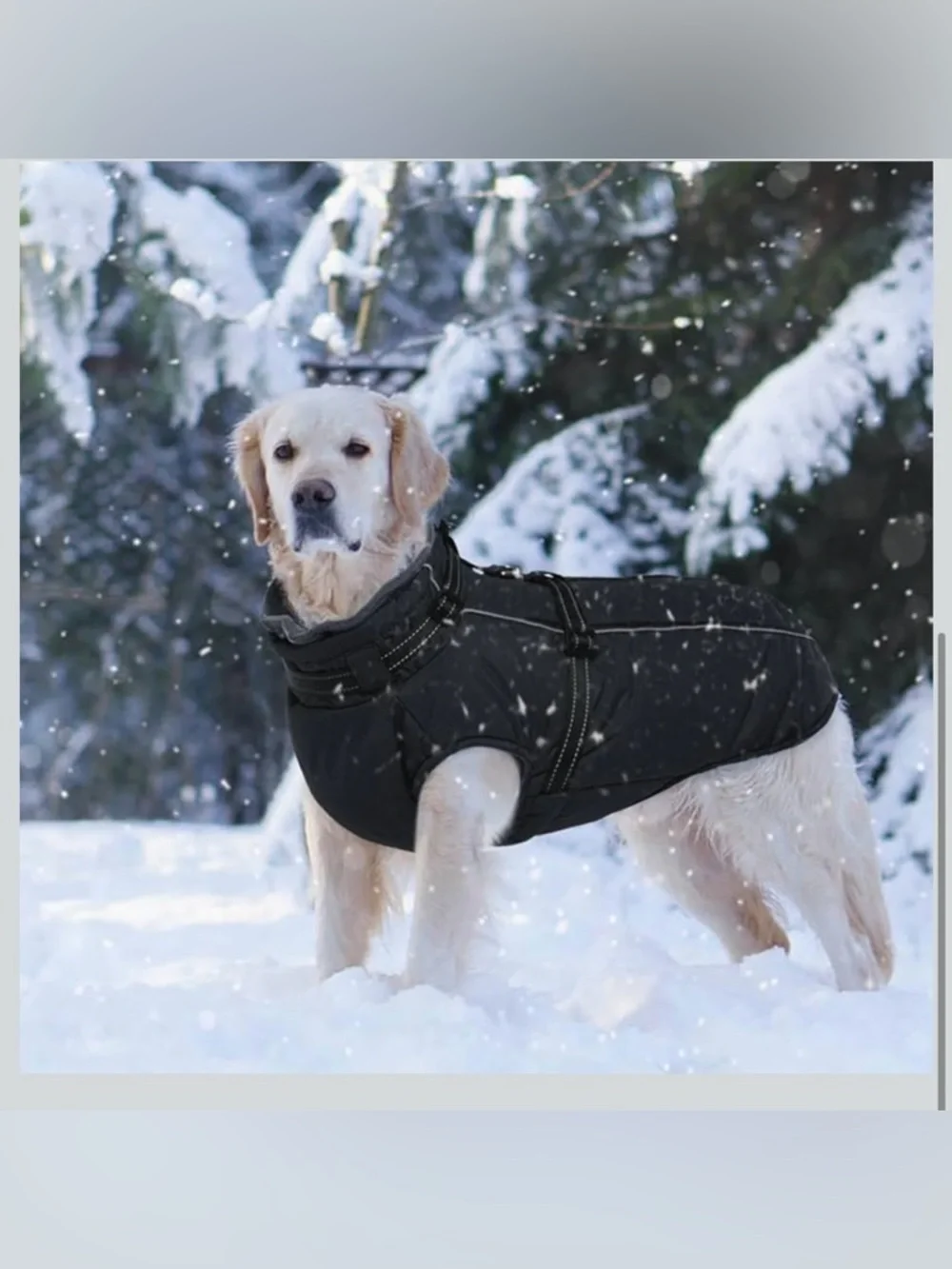 Lelepet Coat For Large Dogs Waterproof W/Harness Built In Reflective XL 917-12